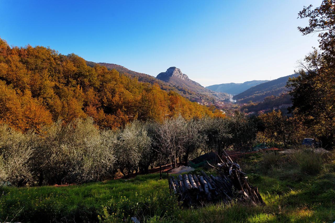 Piemontese Calice Ligure